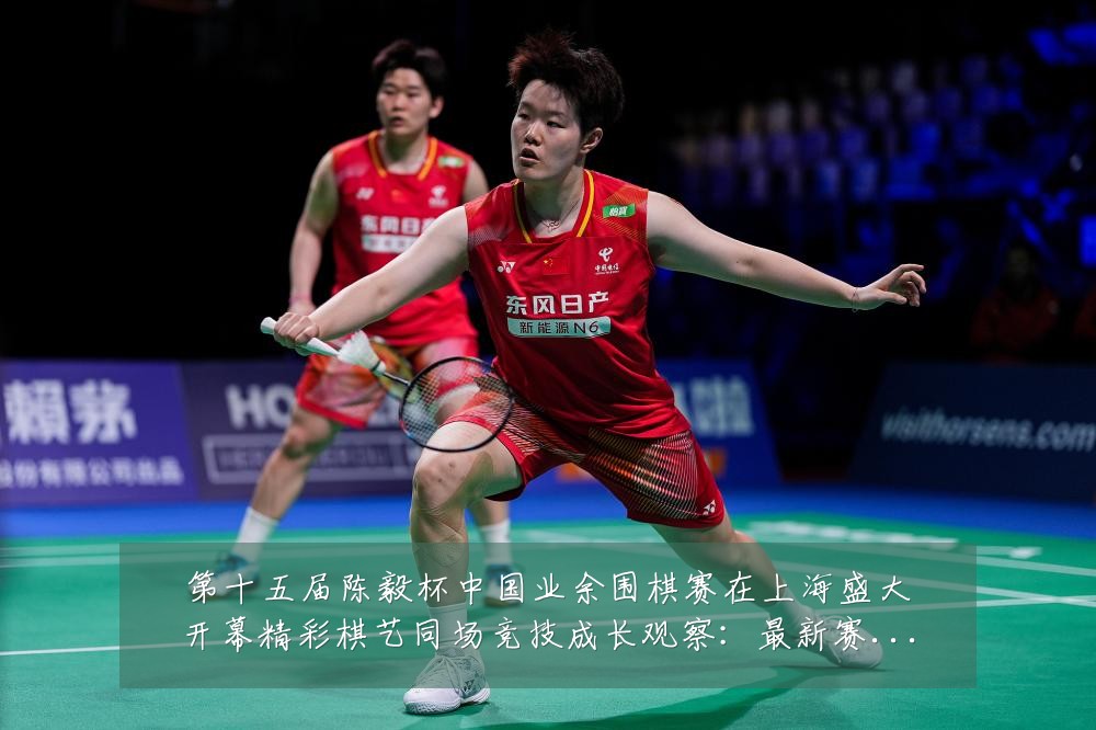第十五届陈毅杯中国业余围棋赛在上海盛大开幕精彩棋艺同场竞技成长观察:最新赛事动态与深度分析